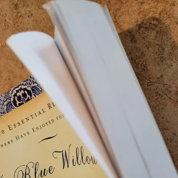 The Blue Willow Inn Bible of Southern Cooking Cookbook~ GUC ~ FINAL PRICE - Picture 15 of 16